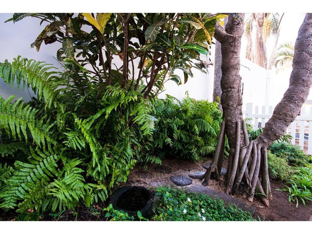 Bed and Breakfast Flamingo Rocks Durban Esterno foto